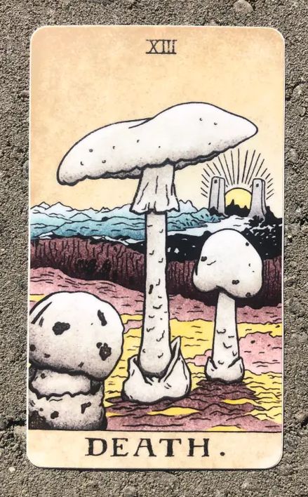Death Fungi Arcana Sticker