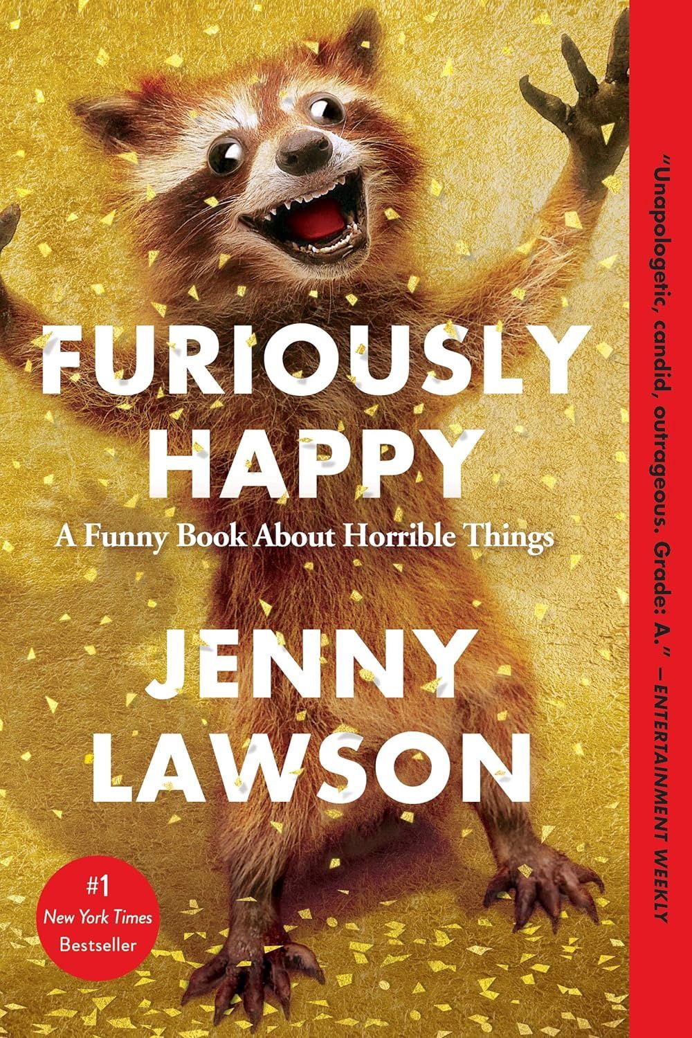Furiously Happy Paperback