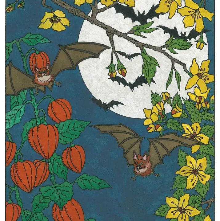 Cj Hurley: Night Gliding Notecard