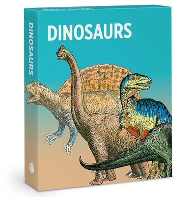Dinosaurs Knowledge Cards