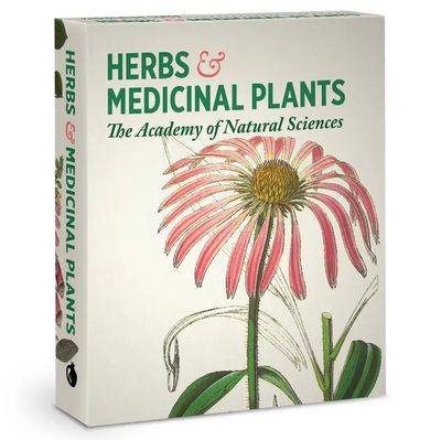 Herbs and Medicinal Plants Knowledge Cards