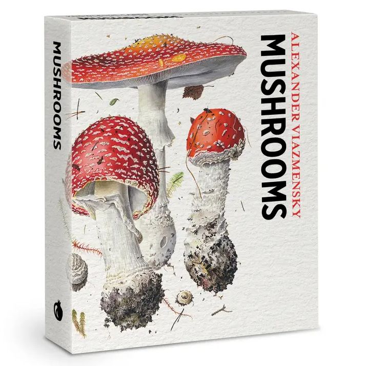 Mushrooms Knowledge Cards