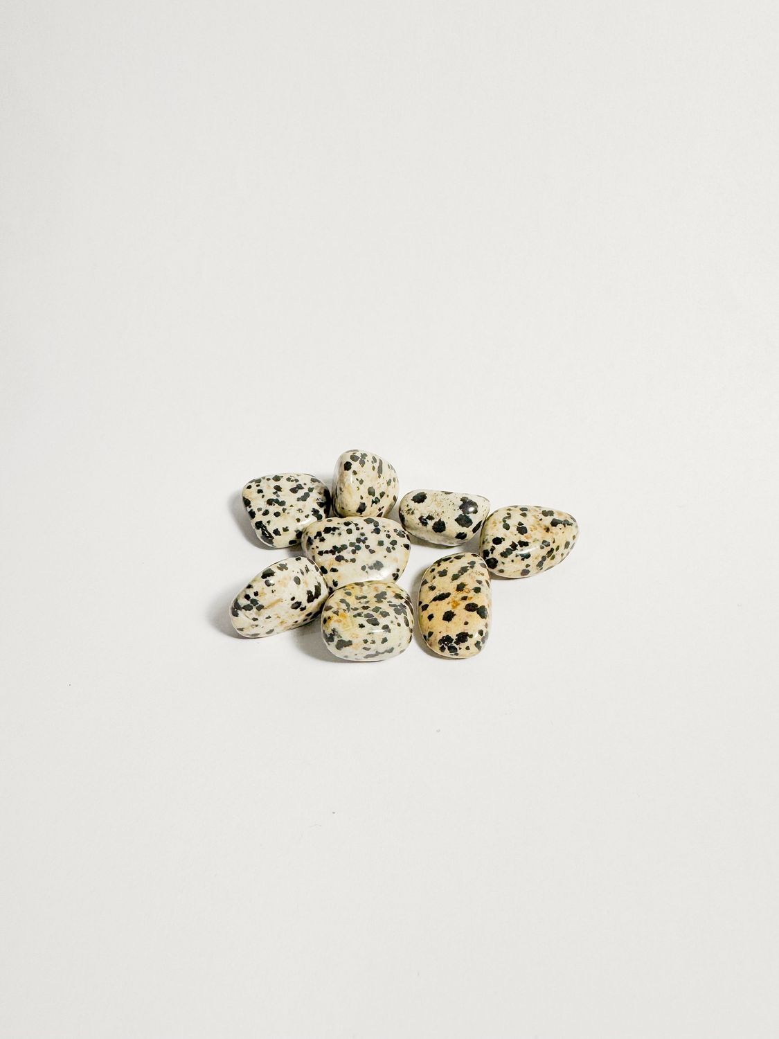Jasper Dalmatian Tumbled Stone
