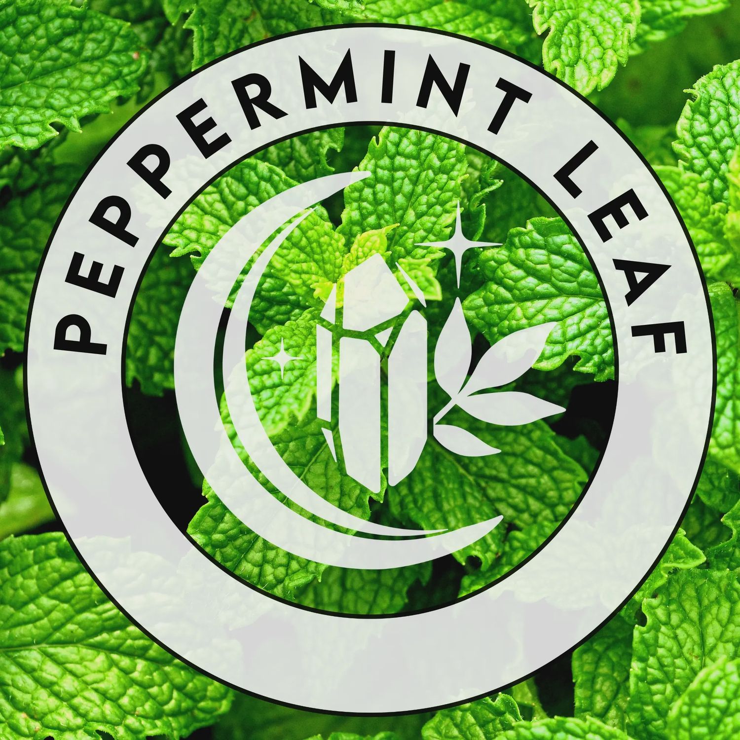 Peppermint Leaf