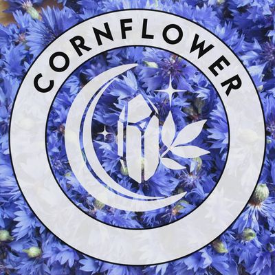 Cornflower