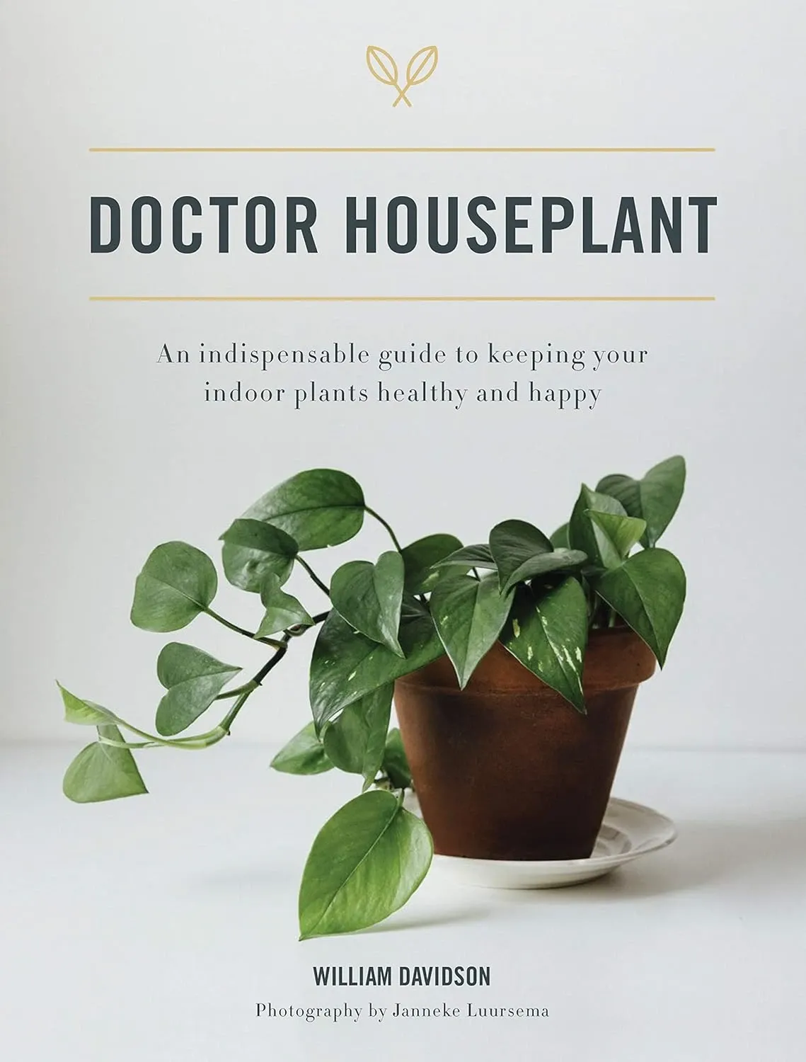 Doctor Houseplant: Keeping Your Houseplants Happy &amp; Healthy