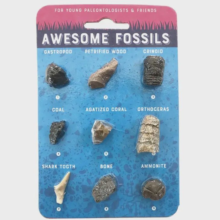 Awesome Fossil Card