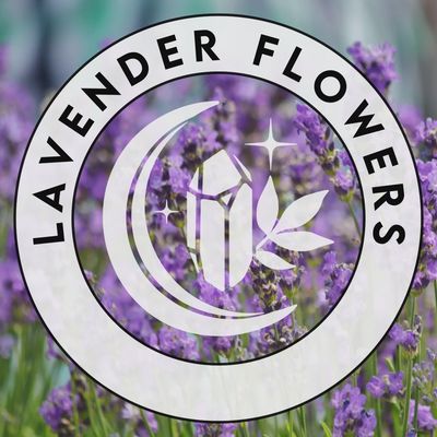 Lavender Flowers