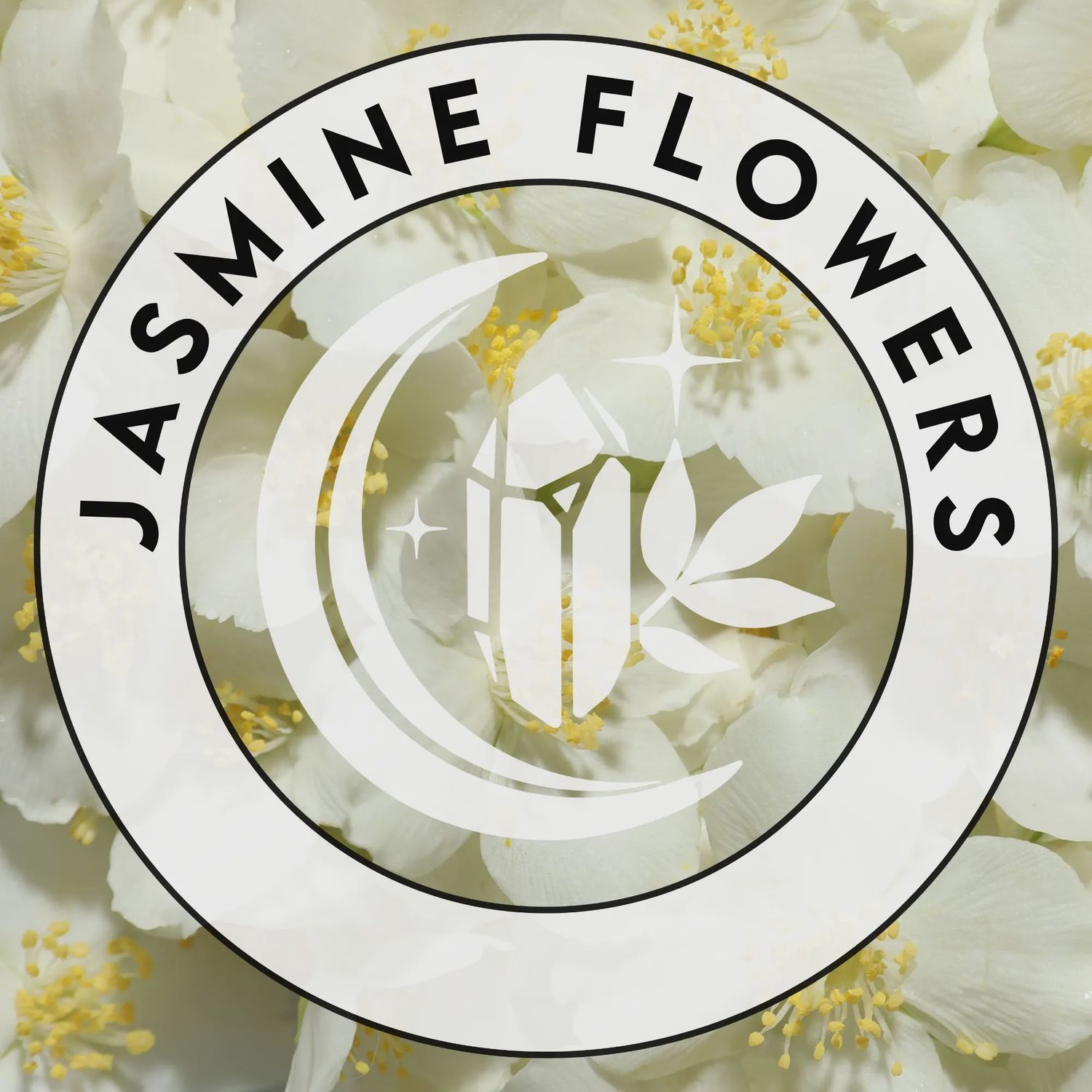 Jasmine Flowers