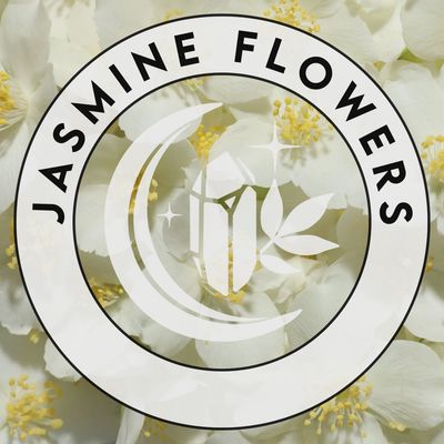 Jasmine Flowers