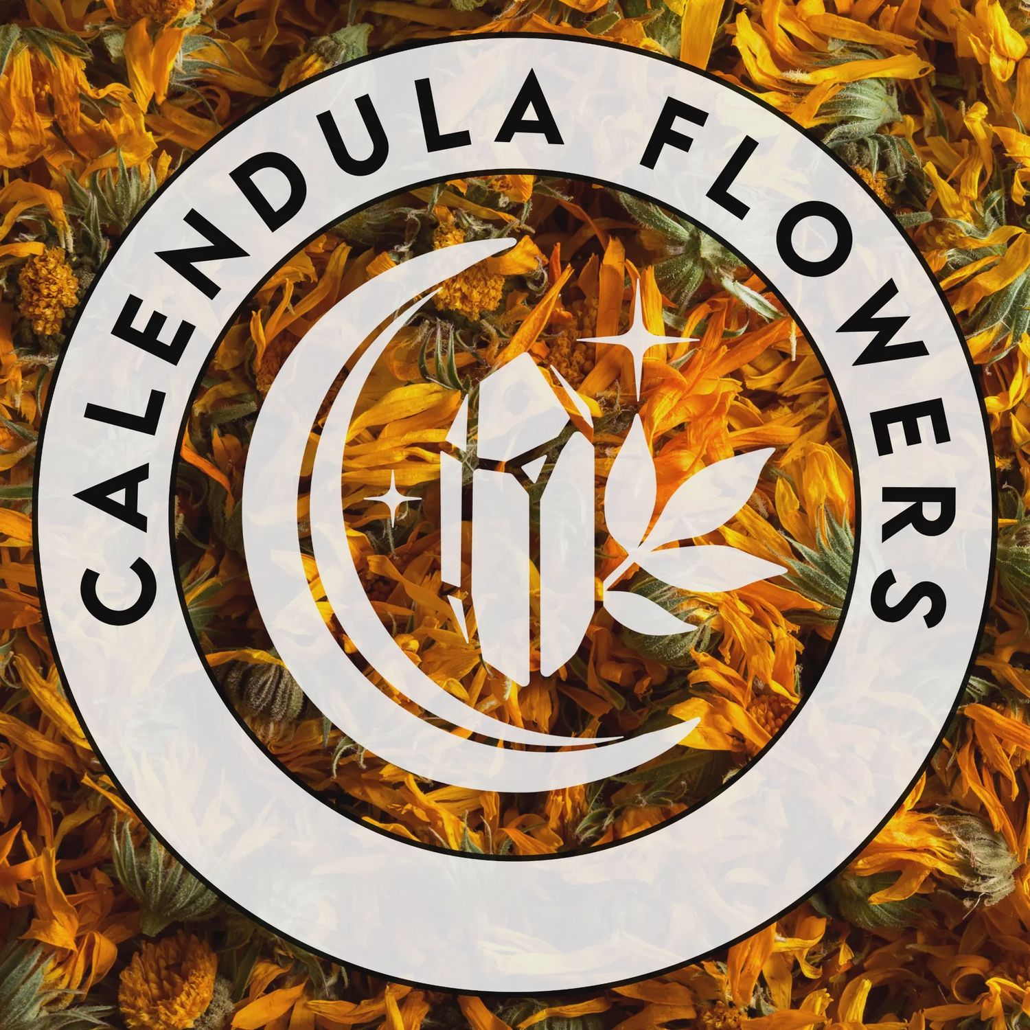 Calendula Flowers