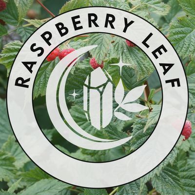 Raspberry Leaf