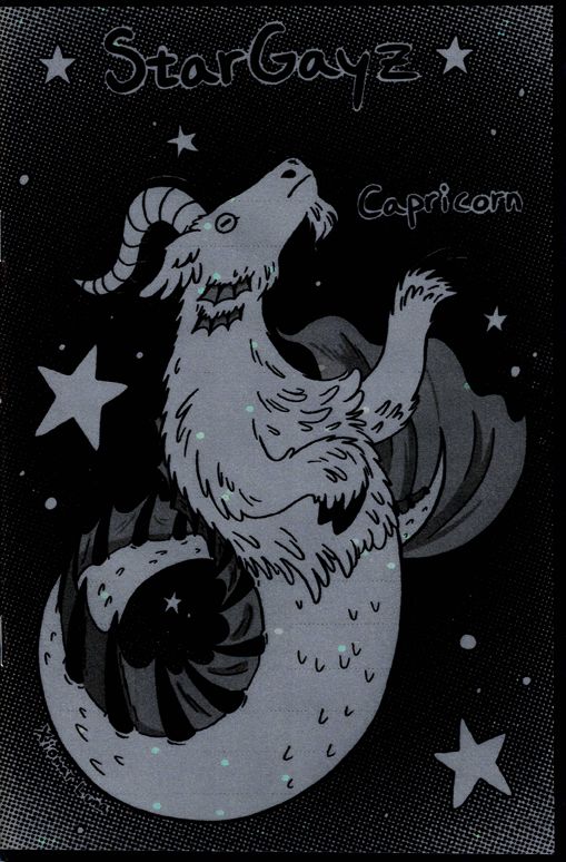 Star Gayz Capricorn Zine