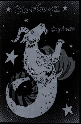 Star Gayz Capricorn Zine