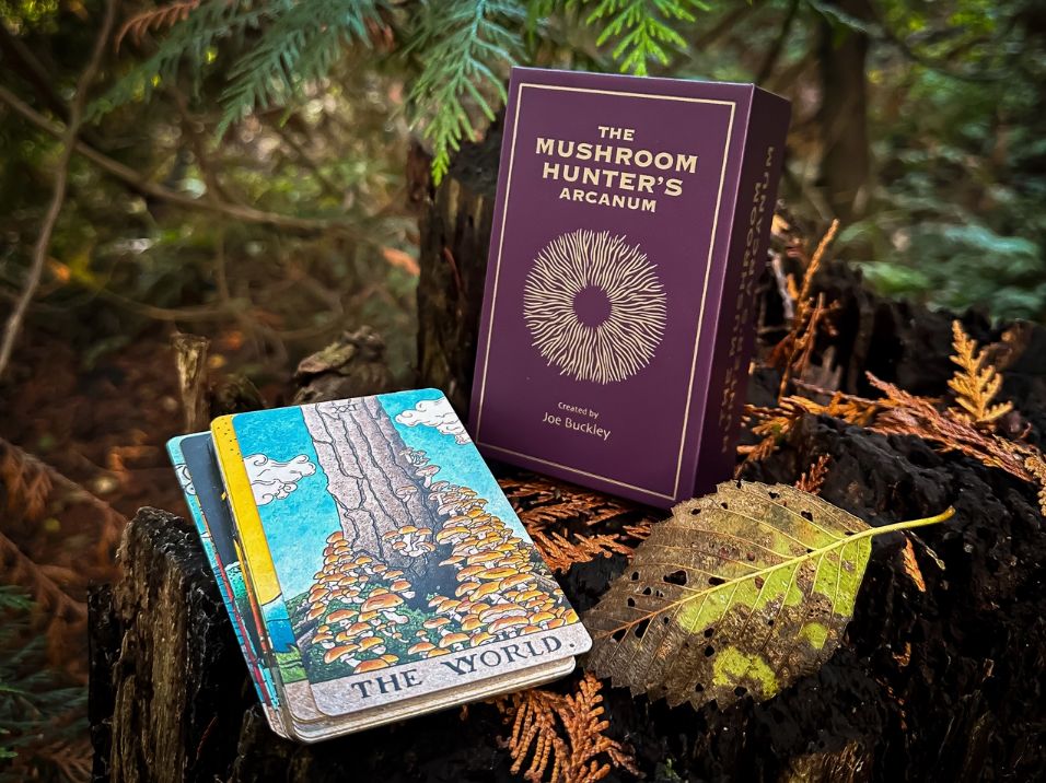 The Mushroom Hunter's Arcanum Tarot