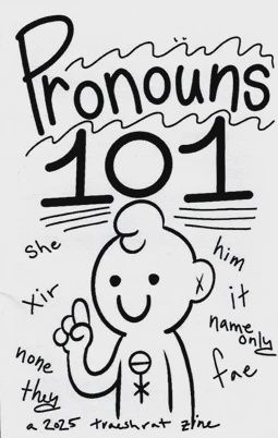 Pronouns 101 Zine