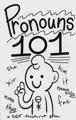 Pronouns 101 Zine