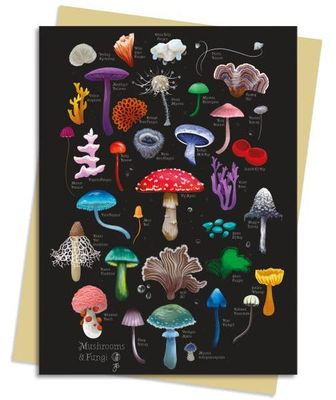 Anna Stead: Mushrooms &amp; Fungi Greeting Card