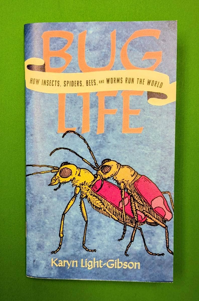 Bug Life (Zine)