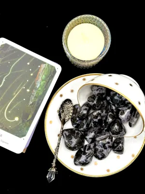 Indigo gabbro tumbled stones in black with gray-lavender mottling spilling from a tipped white teacup onto a saucer.