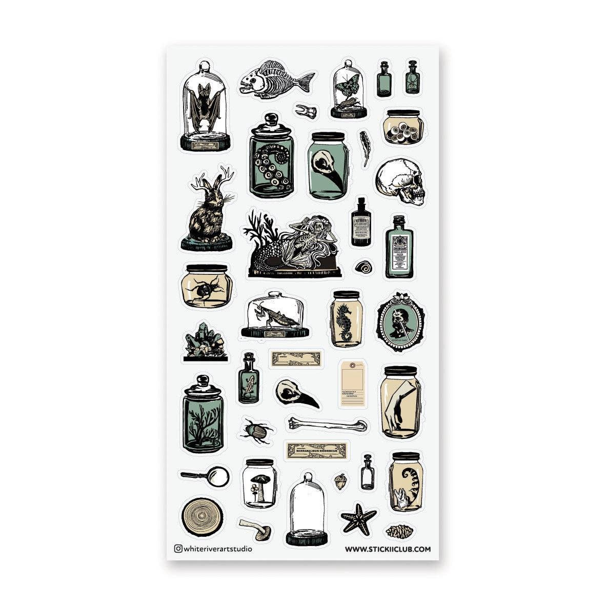 Curious Specimens Sticker Sheet