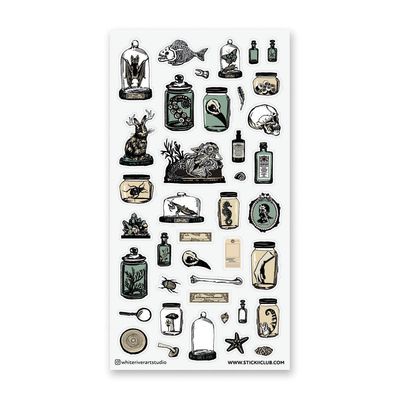 Curious Specimens Sticker Sheet