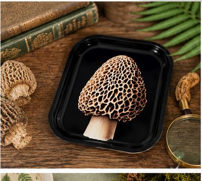Morel Mushroom Metal Tray