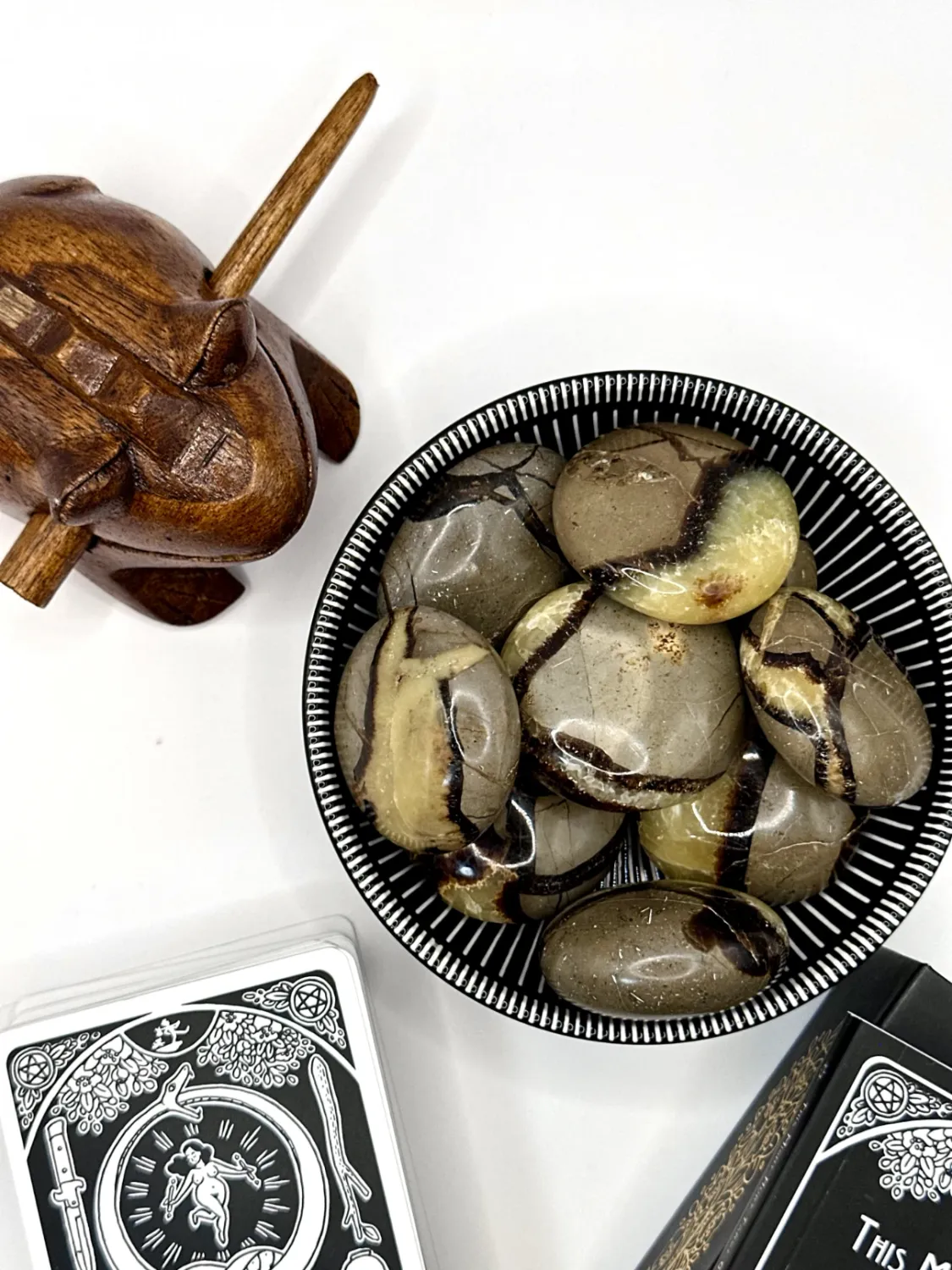 Septarian Palm Stone