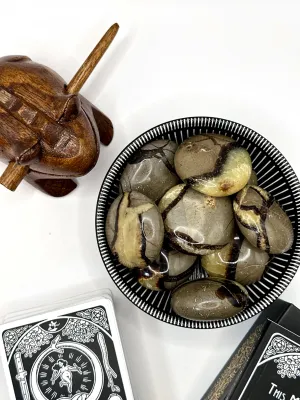 Septarian Palm Stone