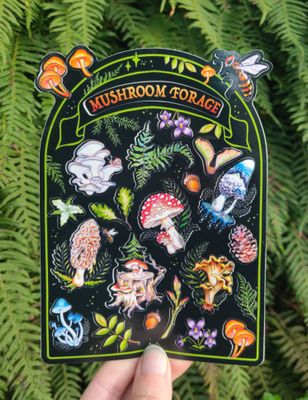 Mushroom Forage Sticker Sheet
