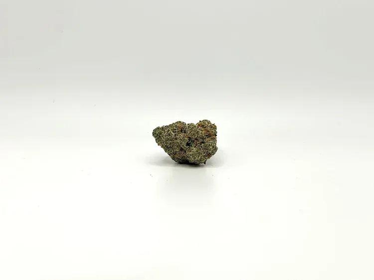 THCA - Exotic Flower - Astronaut Status