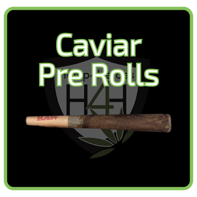 Caviar