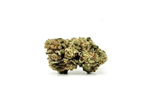 THCA - Mid Flower - Chocolope