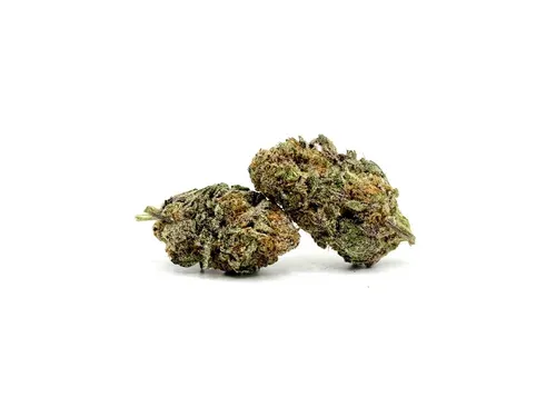 THCA - Top Shelf Flower - Italian Ice