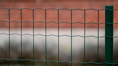 Grillage soudé plastifié