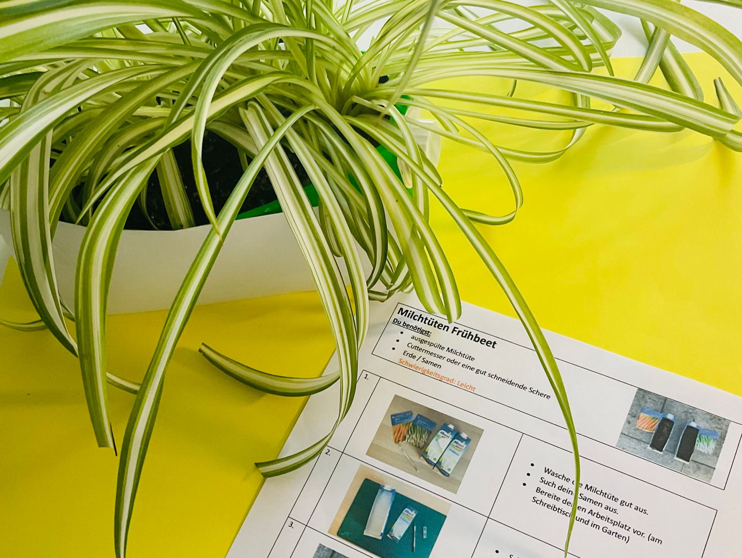 Milchtüten Frühbeet PDF Anleitung