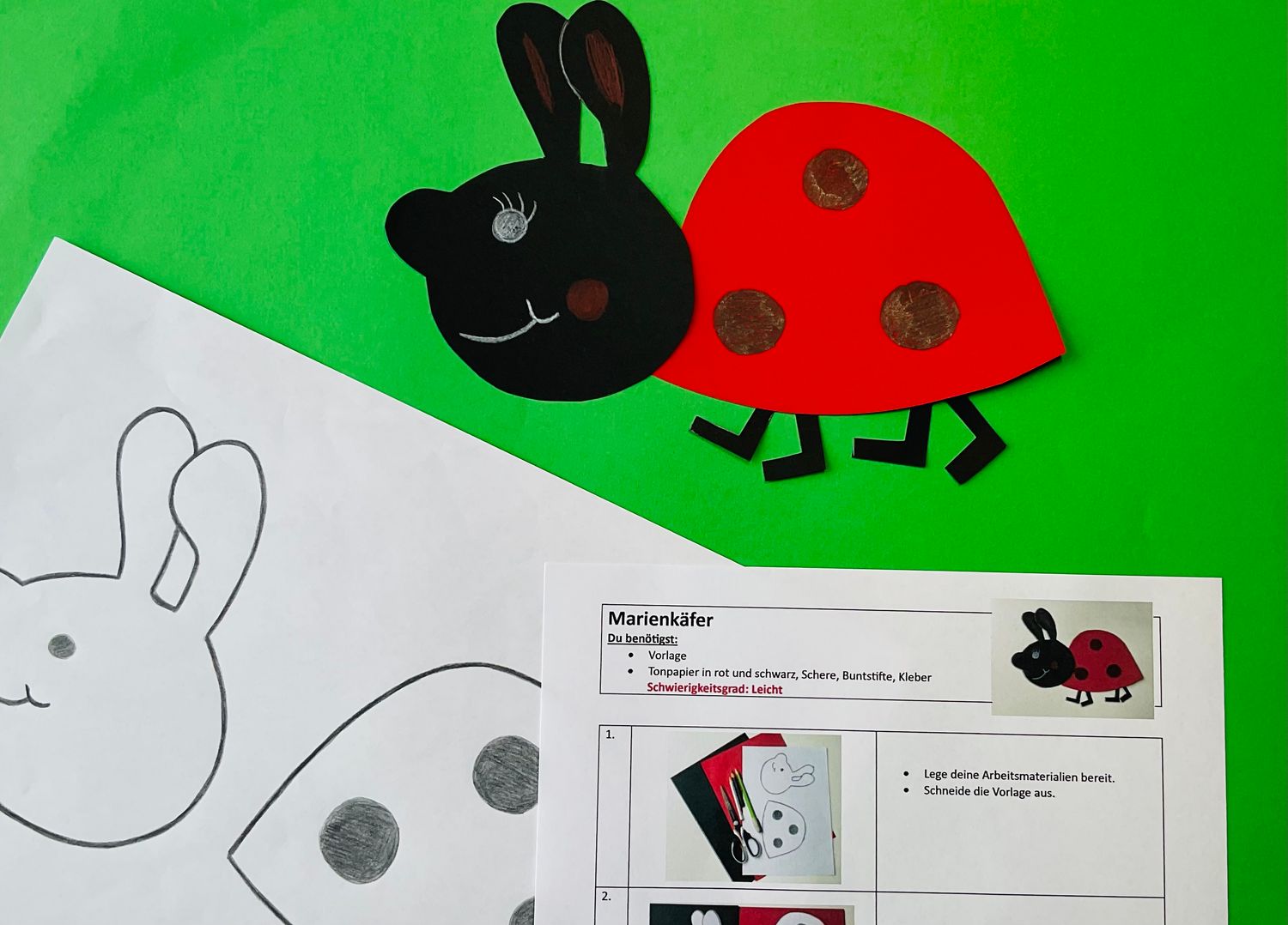 Marienkäfer PDF Anleitung