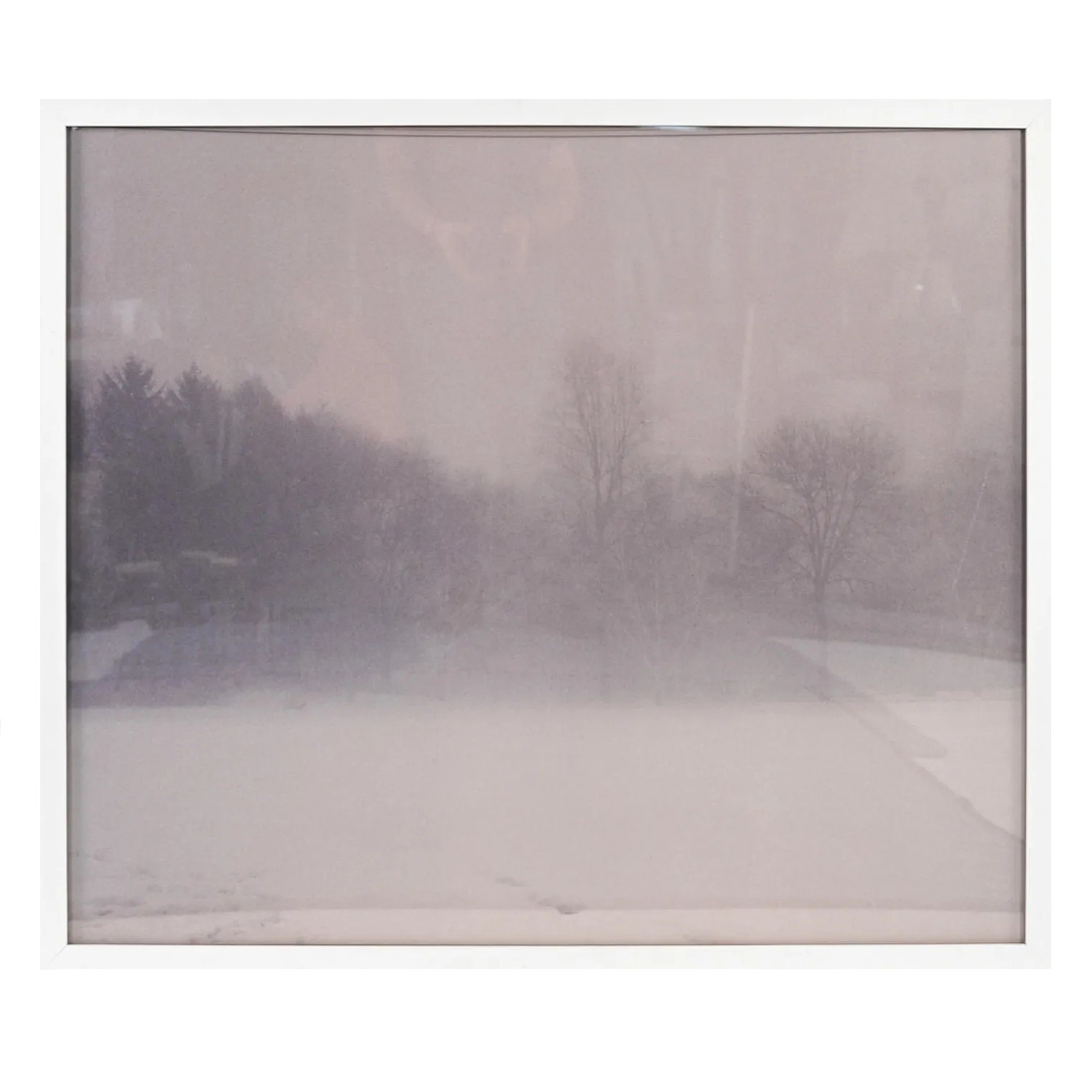 &quot;Contemporary Forest&quot;