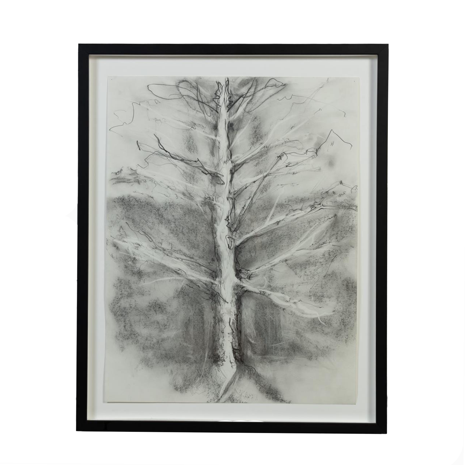 &quot;Tree&quot; by Angus Galloway