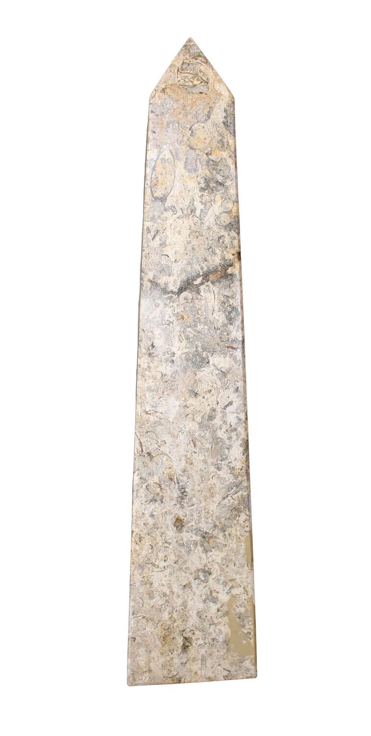 Fossilized Marble Obelisk