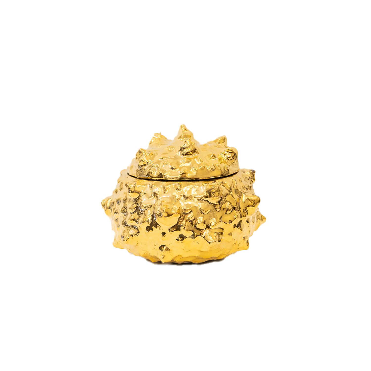 Lustered Urchin Box
