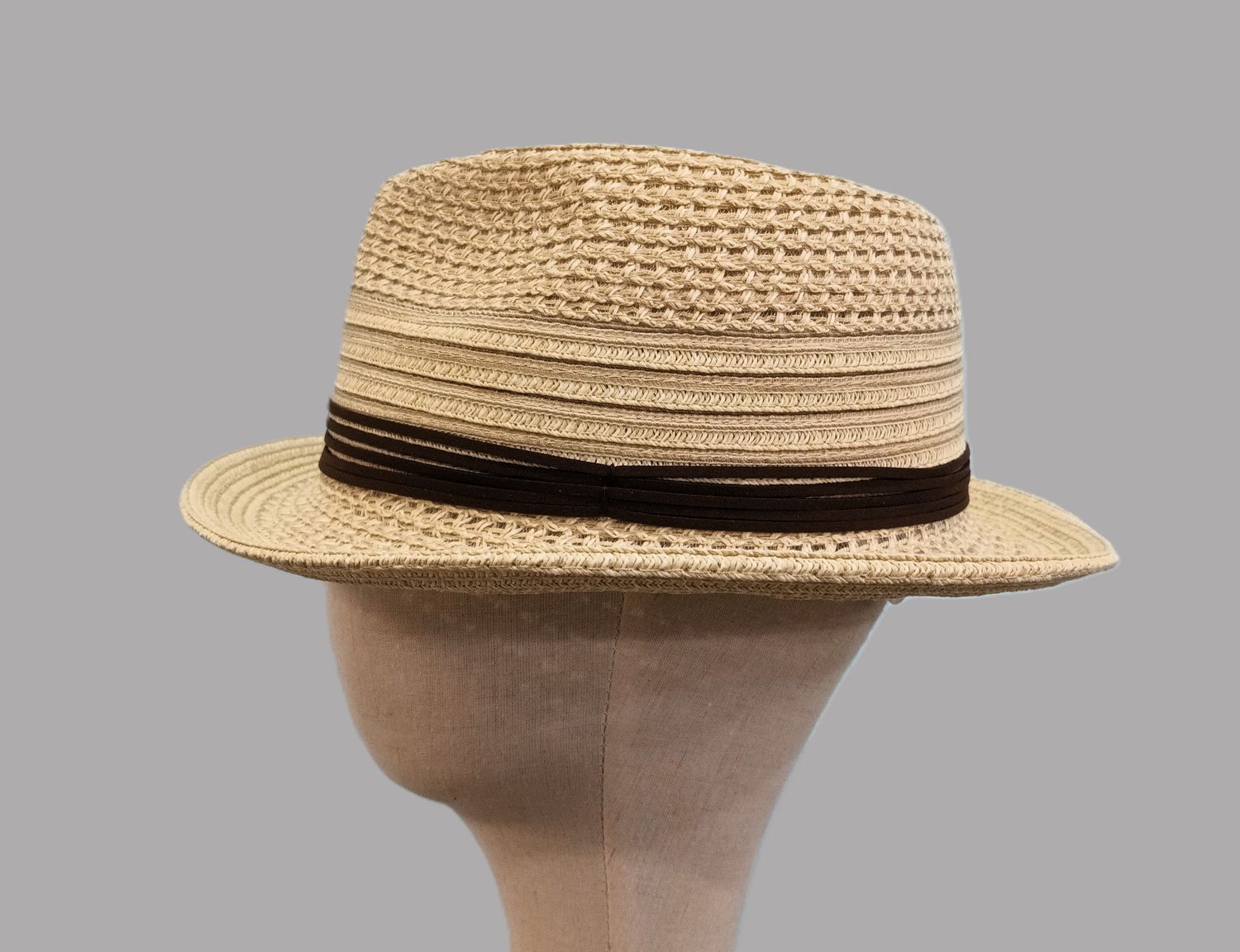 Sandy Rolled Brim Toyo Straw Fedora