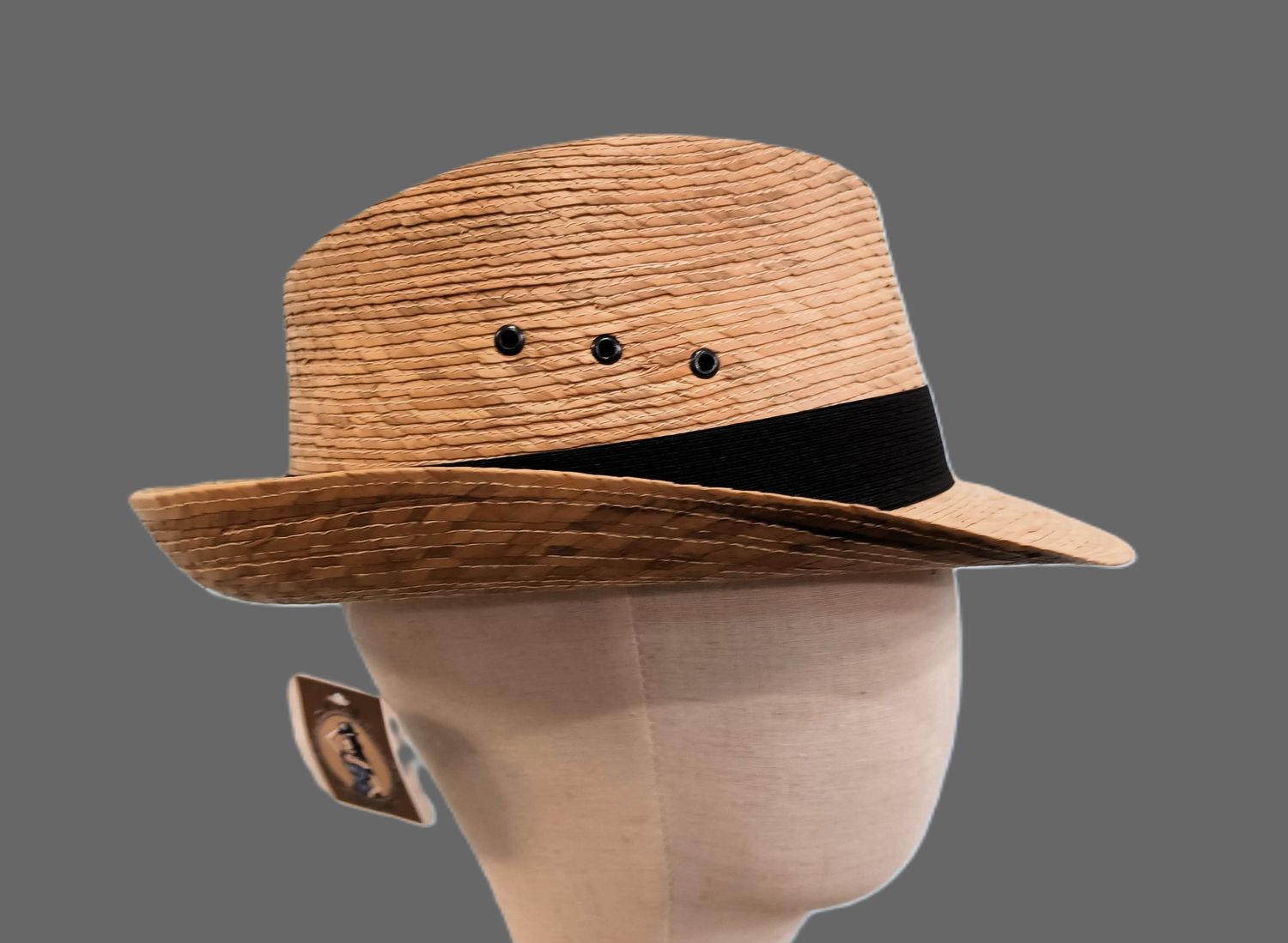 Summer Palm Trilby Fedora L