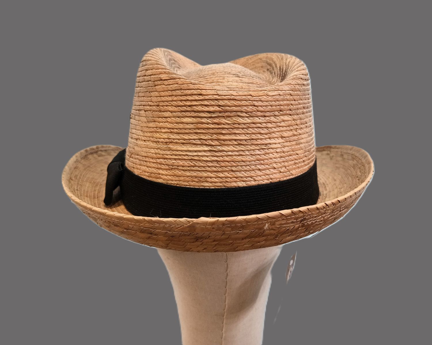 Summer Palm Trilby Fedora L