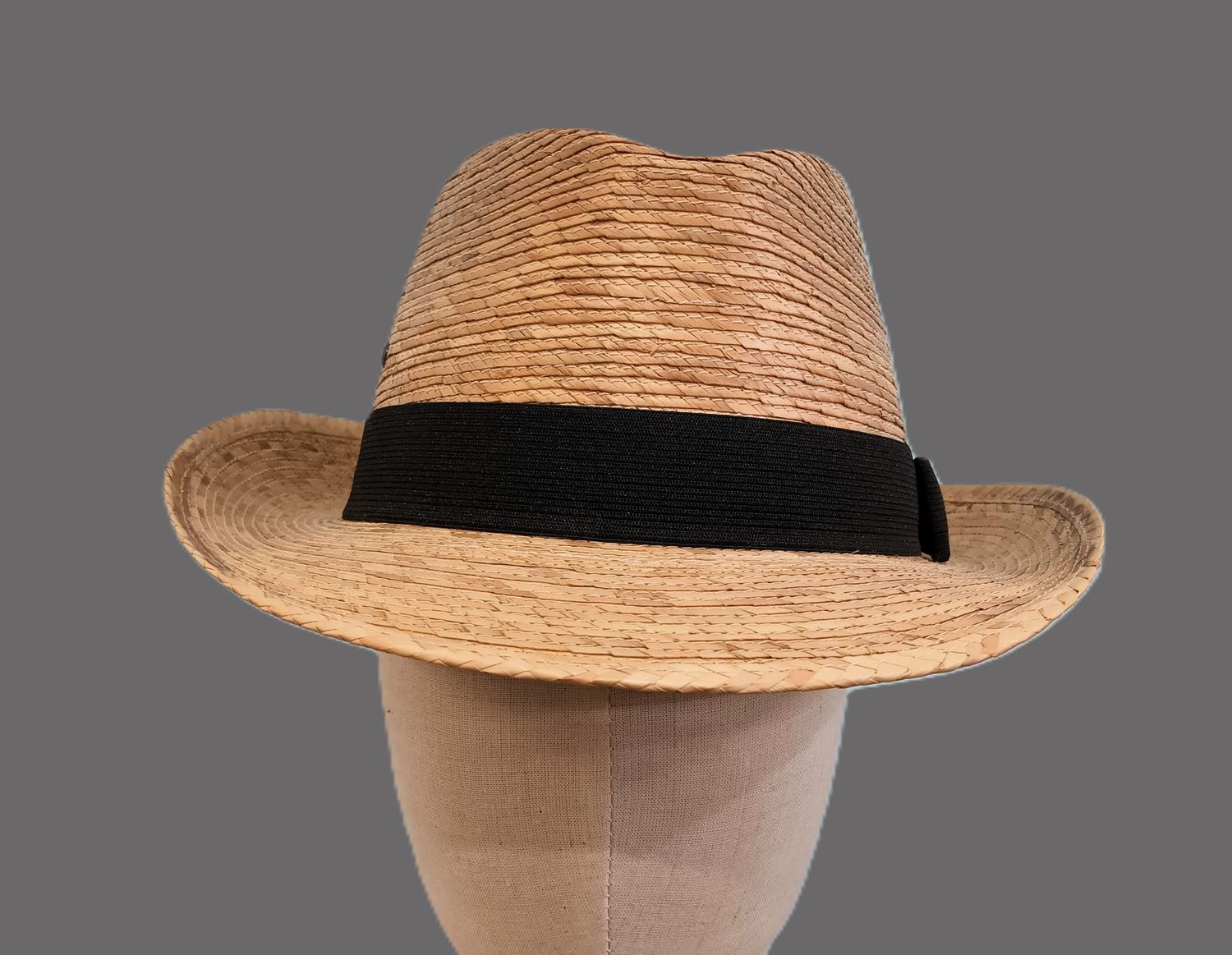 Summer Palm Trilby Fedora L