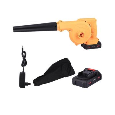 Vacuum and blowers