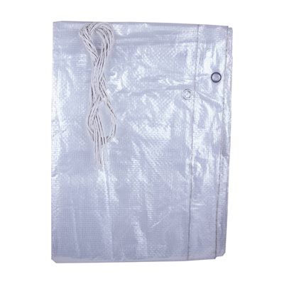 181013 Tarpaulin 10ft x 15ft Clear