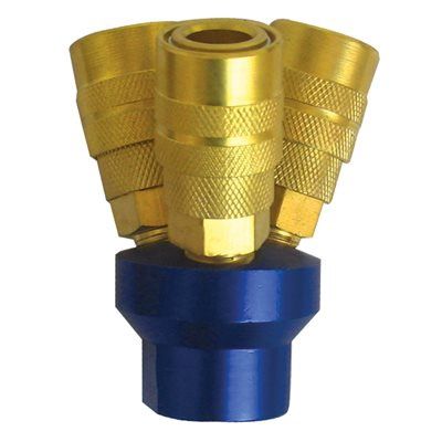 776262 Manifold w / 2 Quick Coupler