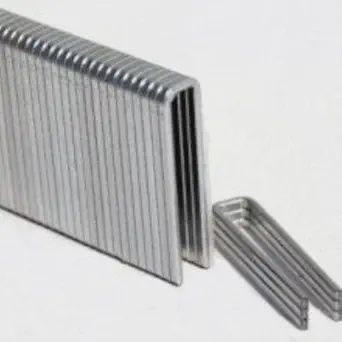 40628 PRIME 1/4 X 1-1/4 GALV STAPLE L15