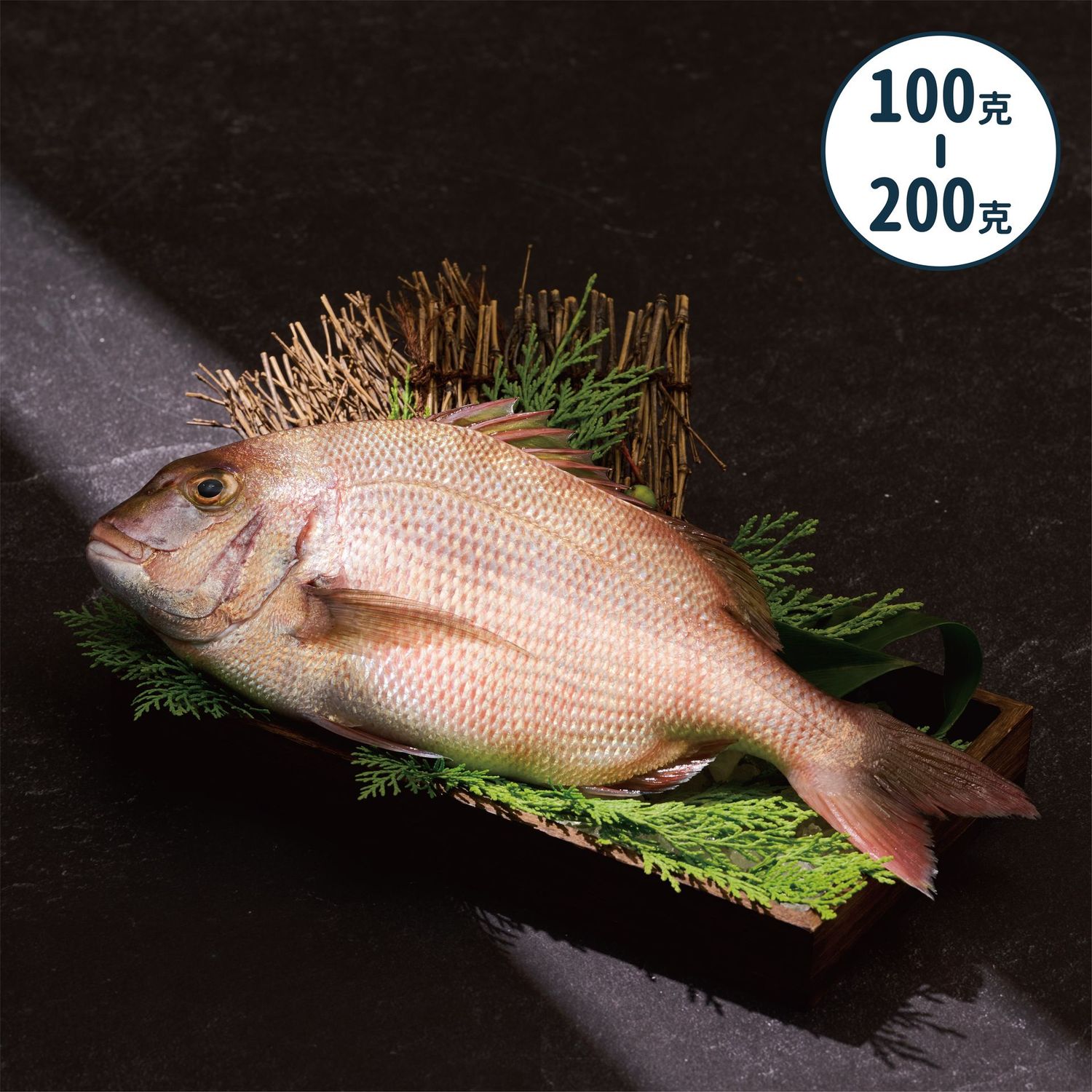 【漁仁】宜蘭-活水養殖嘉鱲100/200